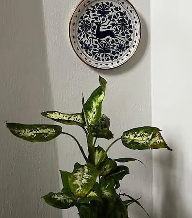 Appartamento Ma'già 2 Fresonara (Piedmont)