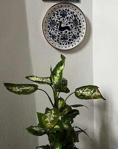 Apartment Ma'gia 2 Fresonara (Piedmont)